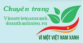 image advertisement